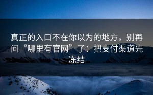 真正的入口不在你以为的地方，别再问“哪里有官网”了：把支付渠道先冻结