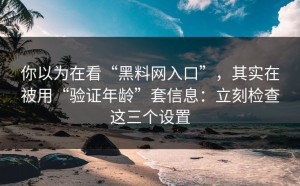 你以为在看“黑料网入口”，其实在被用“验证年龄”套信息：立刻检查这三个设置