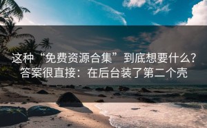 这种“免费资源合集”到底想要什么？答案很直接：在后台装了第二个壳